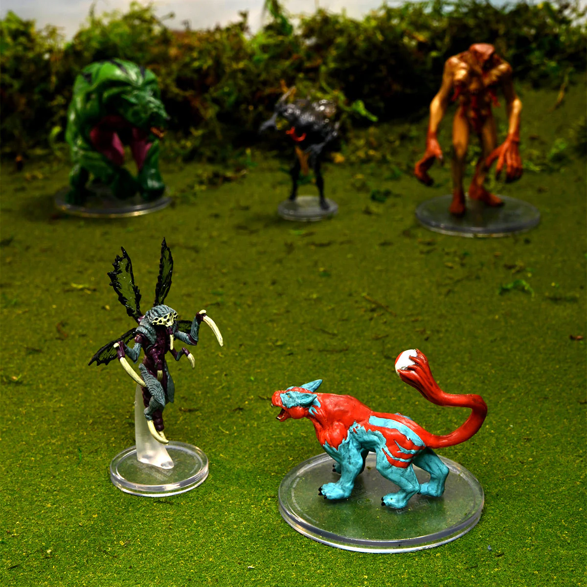 Critical Role: Monsters of Wildemount - Box Set #1 - Image 17