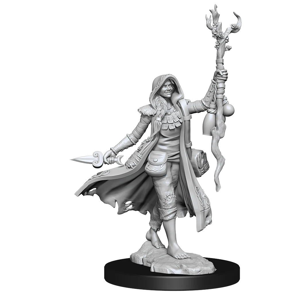D&D Frameworks: Human Druid Female - Unpainted and Unassembled - Image 2