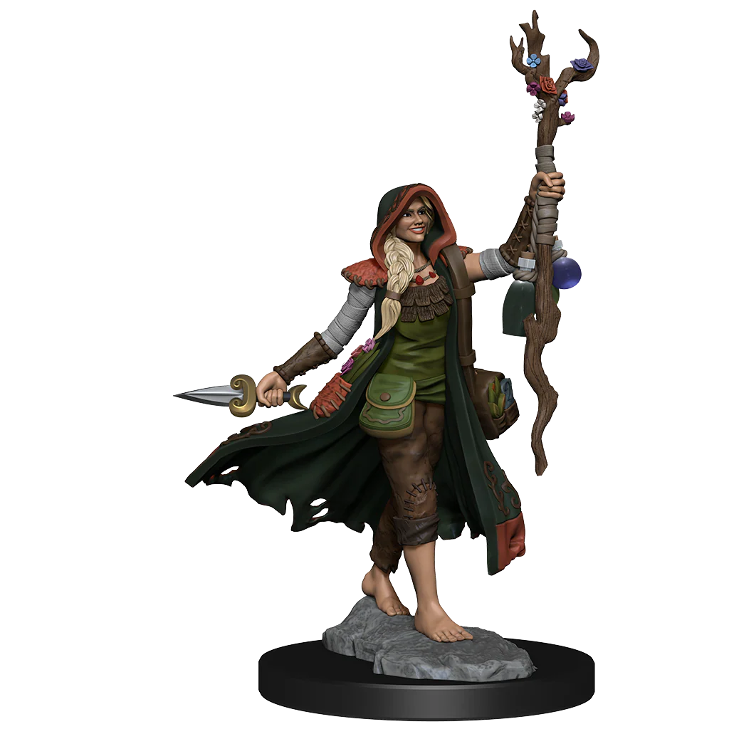 D&D Frameworks: Human Druid Female - Unpainted and Unassembled - Image 3