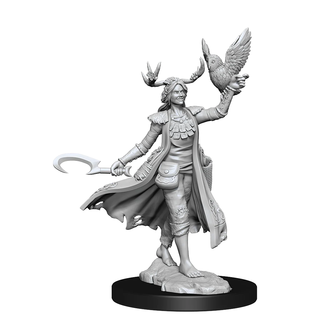 D&D Frameworks: Human Druid Female - Unpainted and Unassembled - Image 4