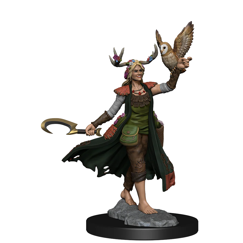 D&D Frameworks: Human Druid Female - Unpainted and Unassembled - Image 5