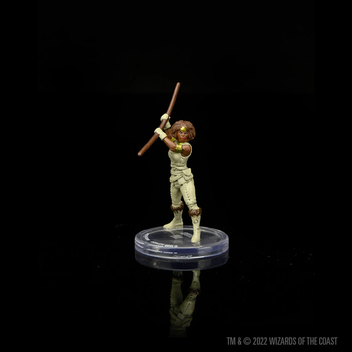 D&D Icons of the Realms: Dragons of Stormwreck Isle - Image 9