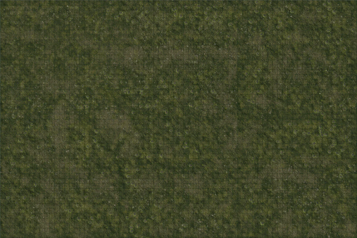 D&D Icons of the Realms: Grasslands Battle Mat - Image 3