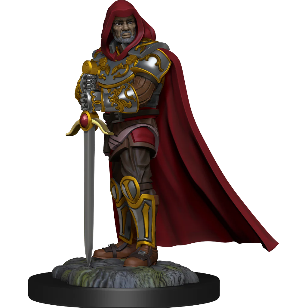 D&D Nolzur's Marvelous Miniatures: Human Paladin Male - Image 2