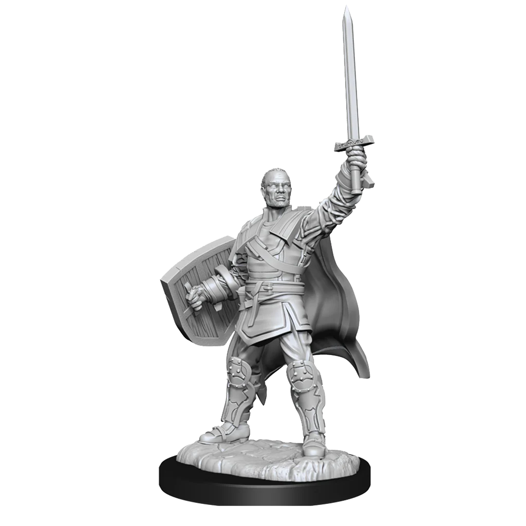 D&D Nolzur's Marvelous Miniatures: Human Paladin Male - Image 3