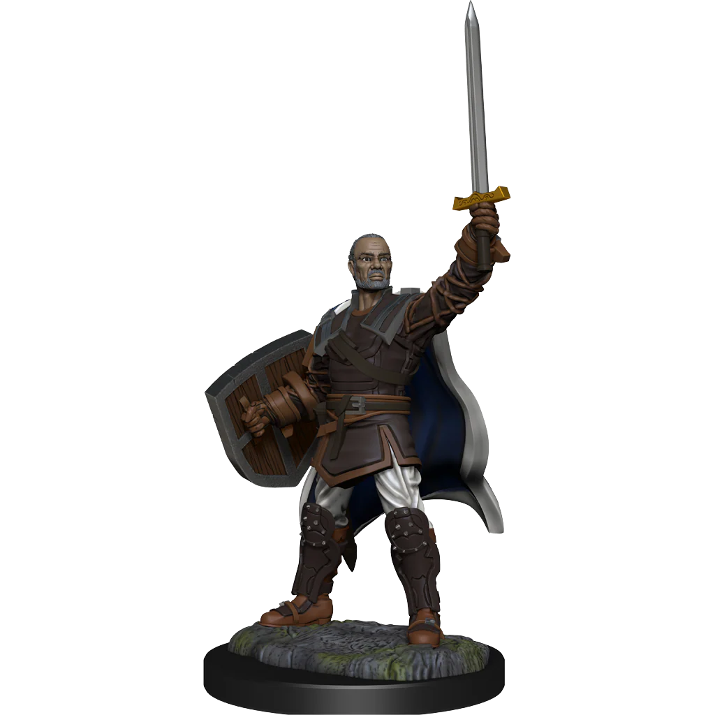D&D Nolzur's Marvelous Miniatures: Human Paladin Male - Image 4