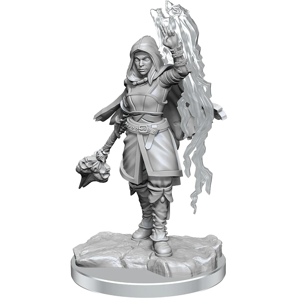 D&D Nolzur's Marvelous Miniatures: Half-Elf Warlock