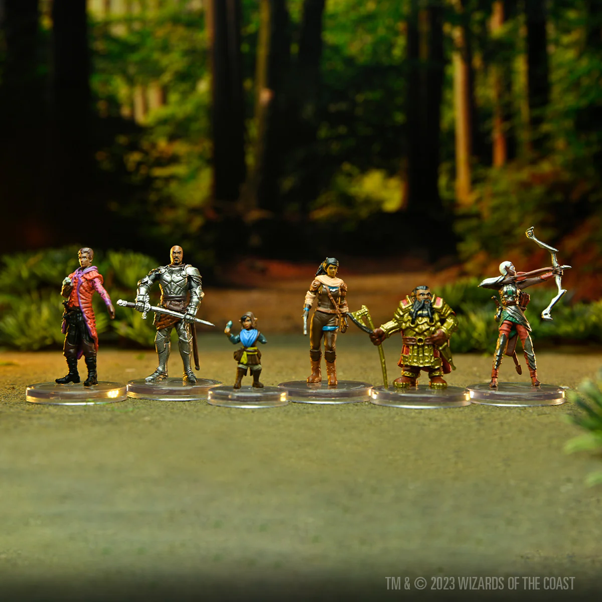 D&D Voices of the Realms: Band of Heroes - Image 5