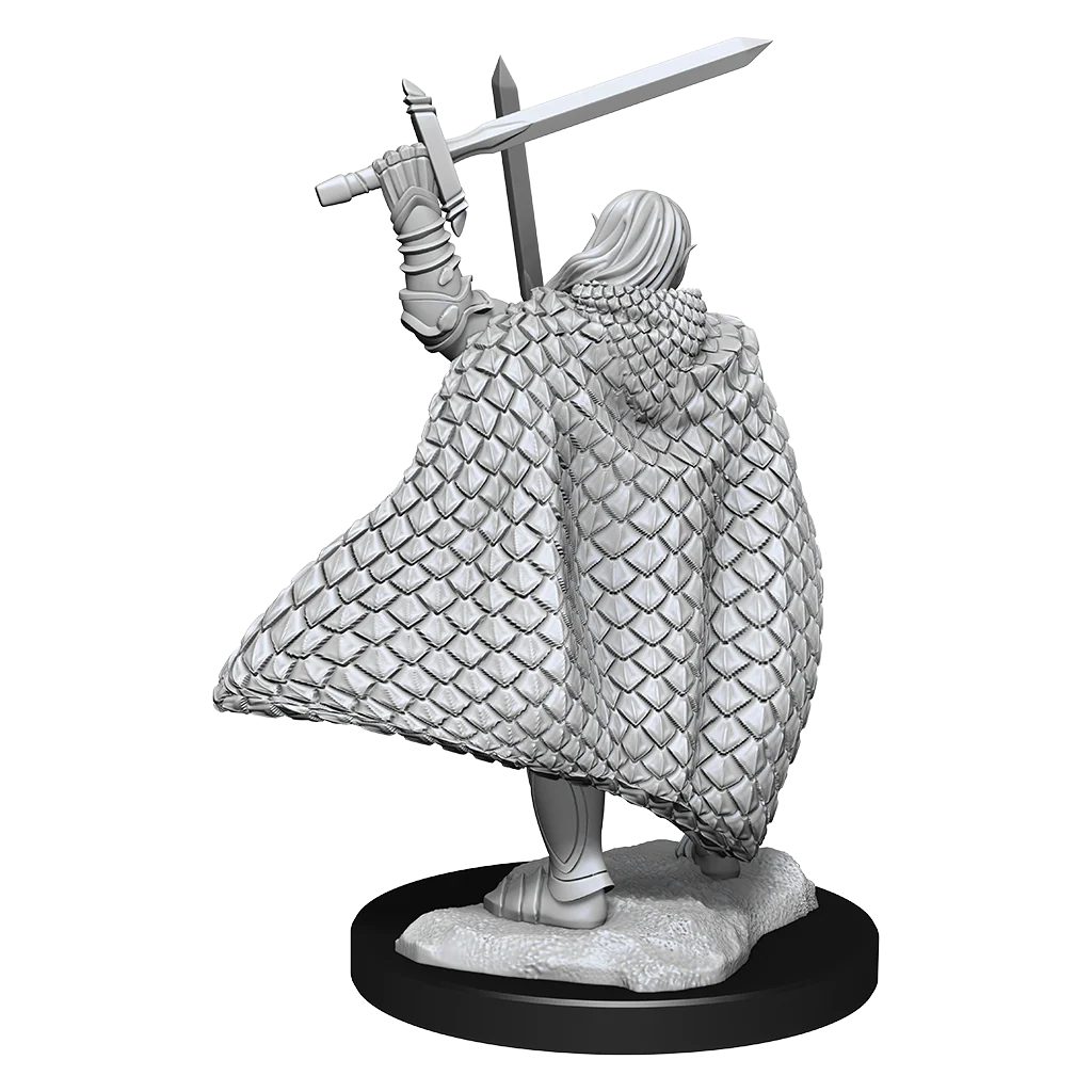 Pathfinder Deep Cuts Unpainted Miniatures: Elf Fighter Male - Image 3