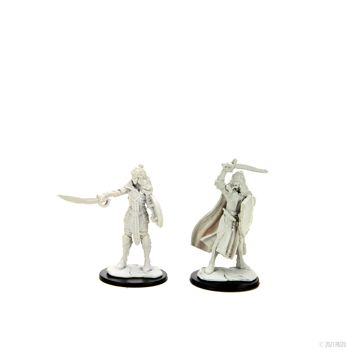 Pathfinder Deep Cuts: Human Champion Female - Image 3