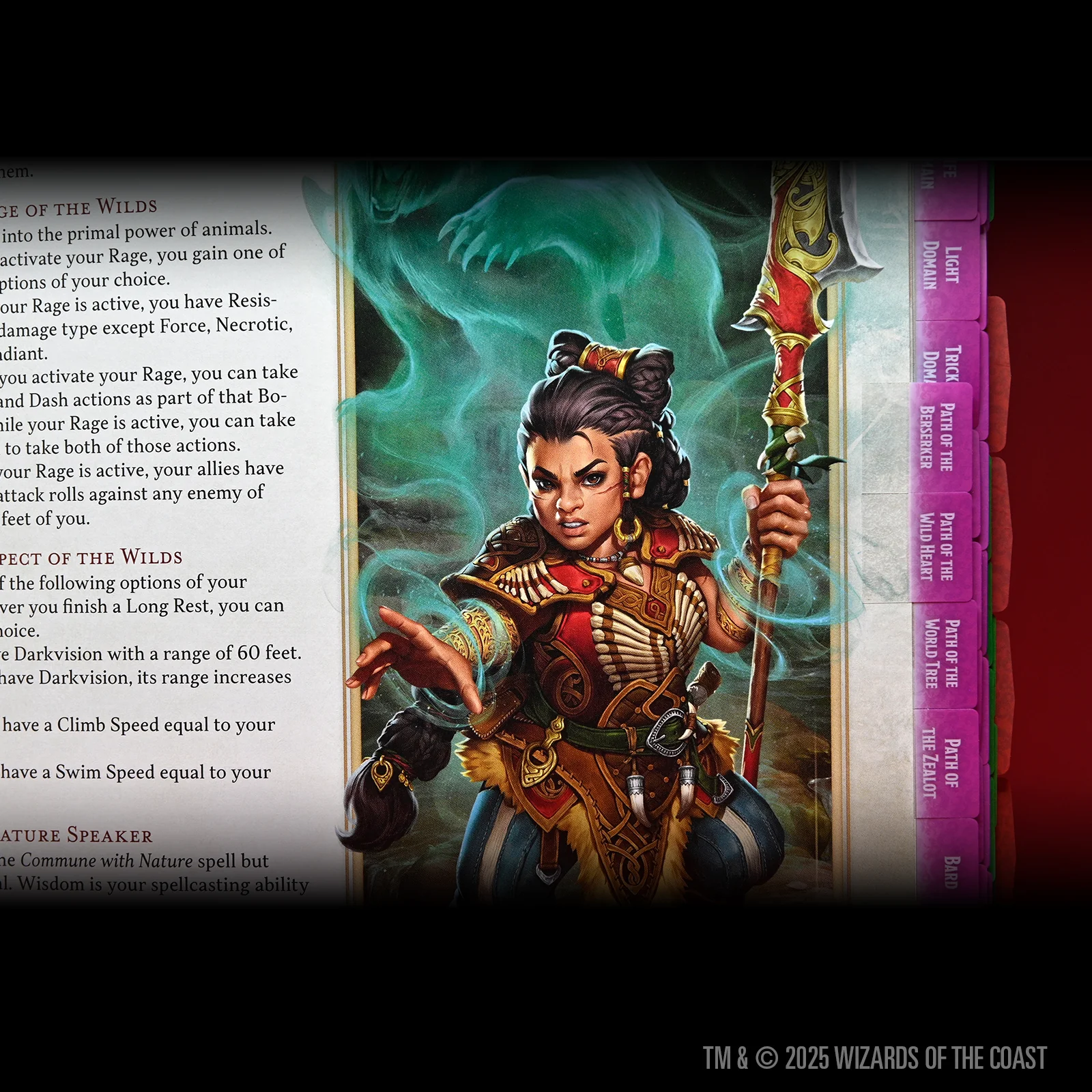 D&D Book Tabs: 2024 Player's Handbook - Image 9
